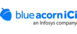 Blue Acorn iCi
